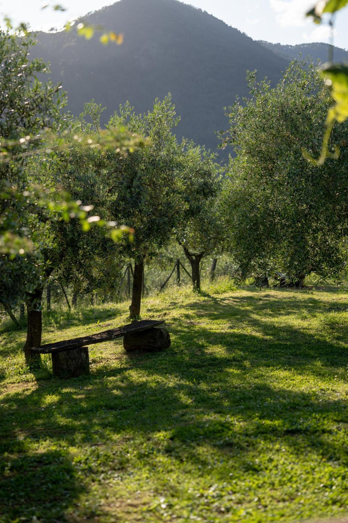 Agriturismo I Due Ghiri - Cinque Terre Calice al Cornoviglio Buitenkant foto